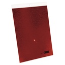 RP reflector plate